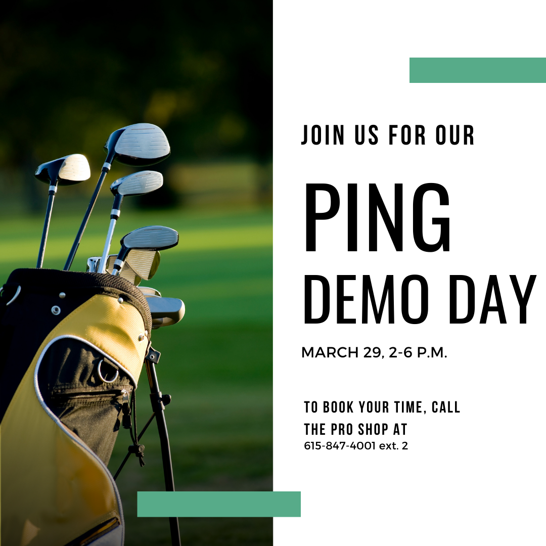 PING demo day